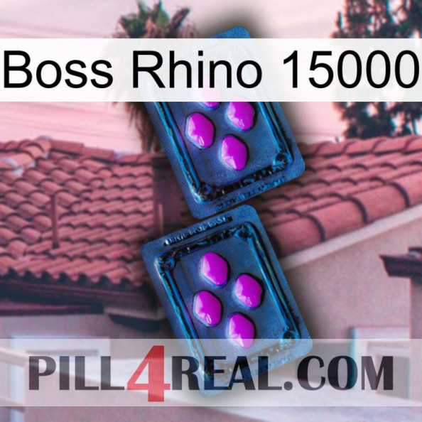 Boss Rhino 15000 03.jpg